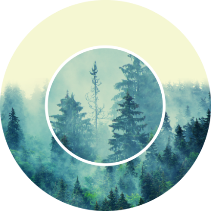 block.settings.image.alt